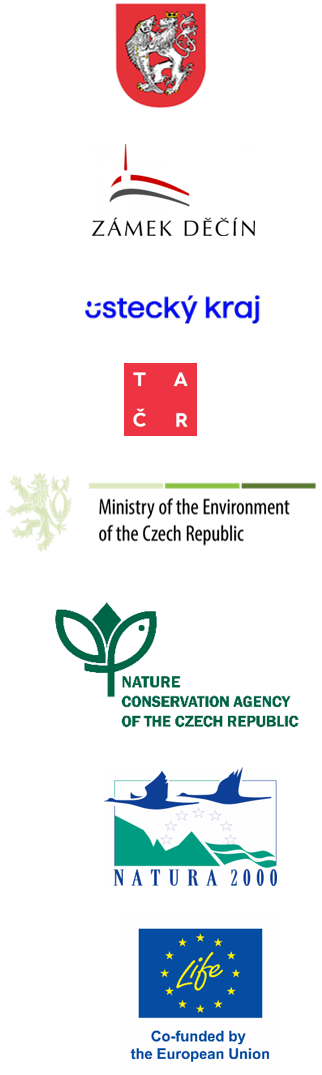 logo2